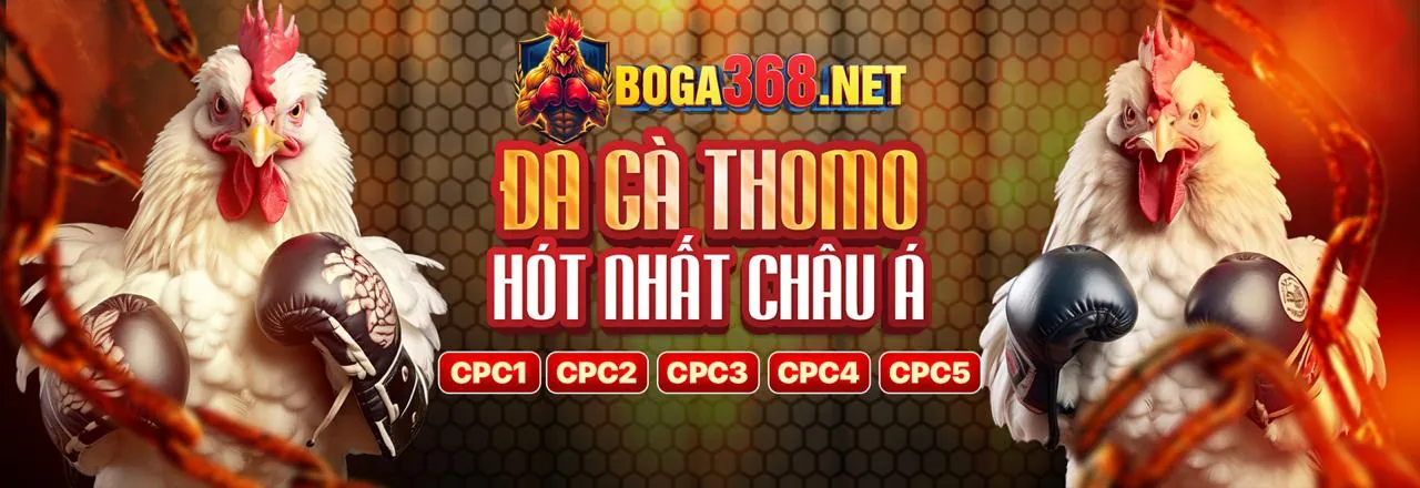 Hình ảnh tổng quan về các chương trình khuyến mãi và câu hỏi thường gặp của Jun88